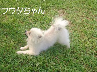 １４．ＨＯＰ★ＷＡＮ バーベキュー８/20