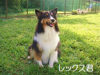 １５．ＨＯＰ★ＷＡＮ バーベキュー８/20