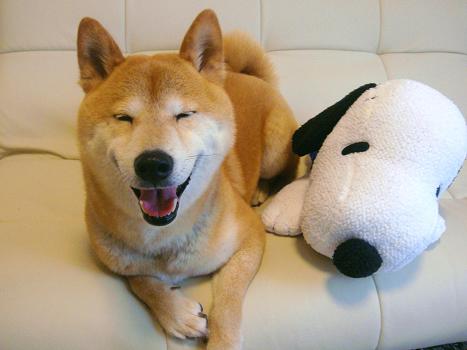 ２０．来月は一緒に行こうね♪