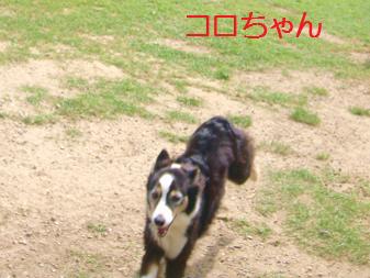 １６．ＨＯＰ★ＷＡＮ バーベキュー８/20