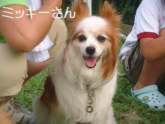 １７．ＨＯＰ★ＷＡＮ バーベキュー８/20