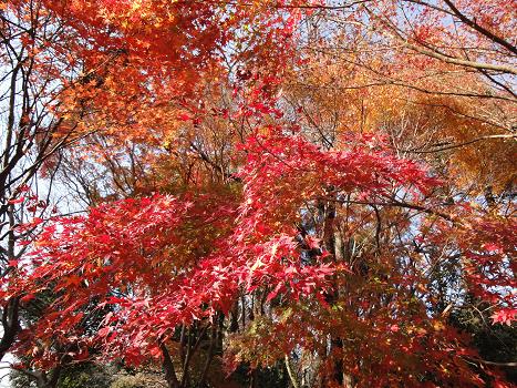 ２．泉自然公園