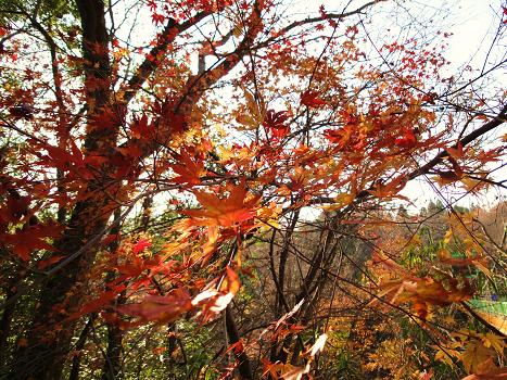 ３．泉自然公園