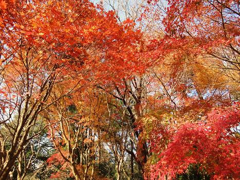 ４．泉自然公園