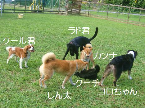 ２０．ＨＯＰ★ＷＡＮ バーベキュー８/20