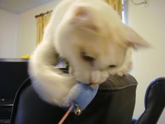 ２．すねぴょん