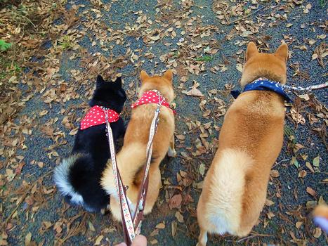 ５．泉自然公園 散策中♪