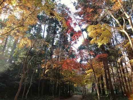 ９．泉自然公園