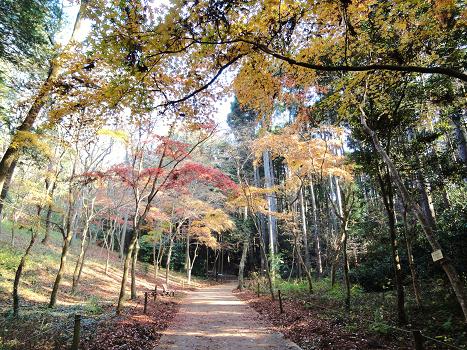 １０．泉自然公園