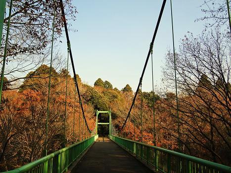 13．泉自然公園
