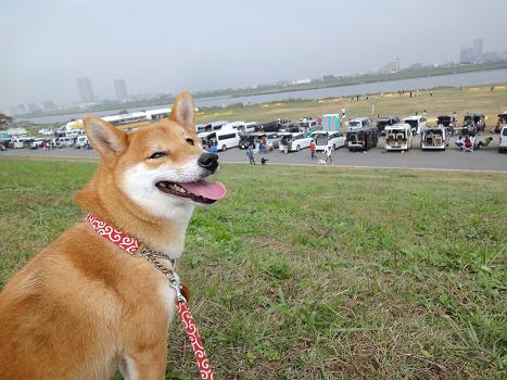 ３．ＪＫＣ訓練競技会