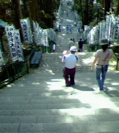 旅行5