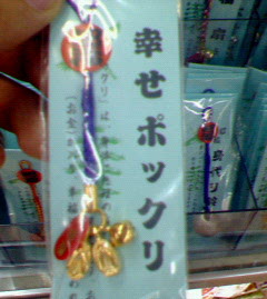 旅行6