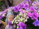 画像 017.jpg