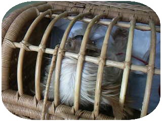 画像-0100.jpg