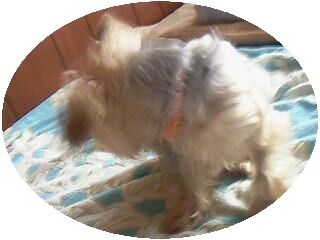 画像-0090.jpg