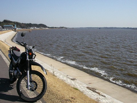 kasumi4s50