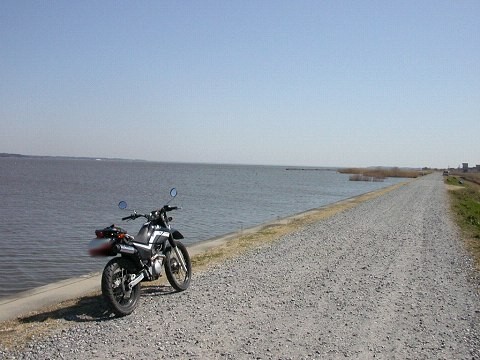 kasumi2s50