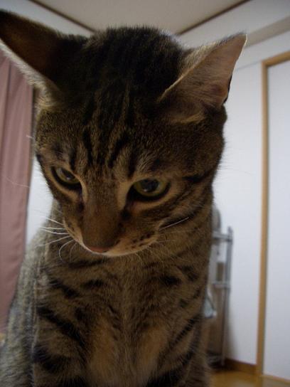 しょんぼりテっさん。