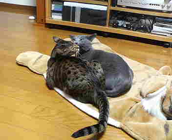 更にイチャイチャ。