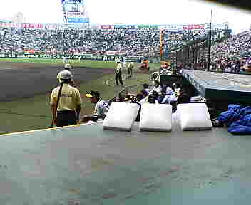 新しいベース。