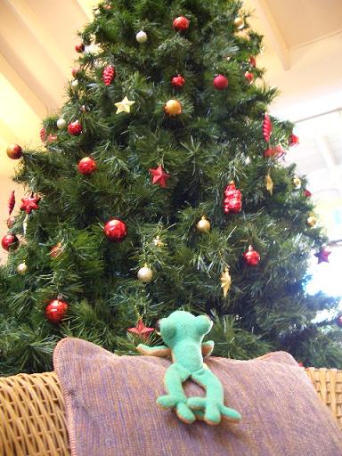 きれいだねー。