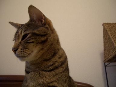 それはちょっと・・・