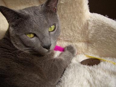 眠たいらしいです。