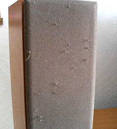 スピーカーが・・・