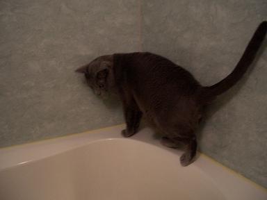 中には入れません。