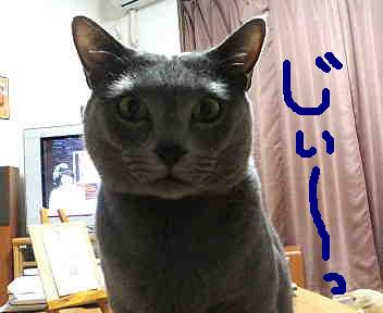 何か言いたい顔。