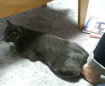 ・・・・・・。