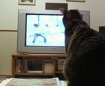 かっこいいのにゃ・・・