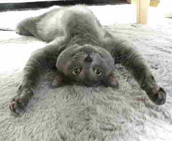 これはひどい・・・