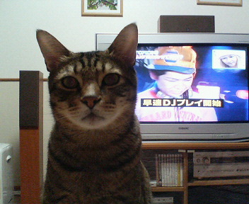 ＤＪ気取り？？