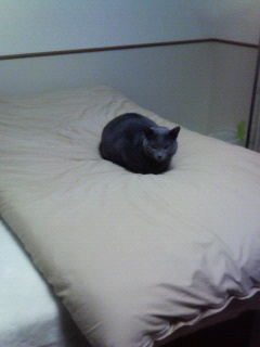 むにゃむにゃ・・・