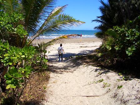 ずんずん歩くのです。