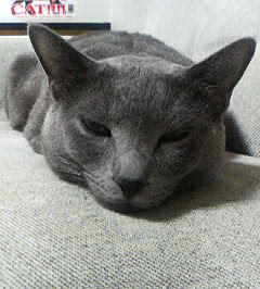 ・・・・・・・。