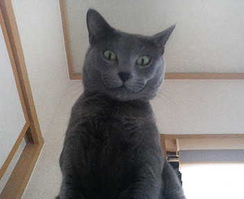 何の用ですかな？