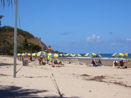 みんな泳いでるね。