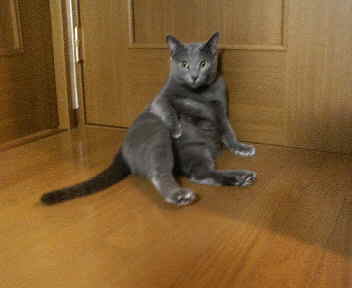 おっさん座り。