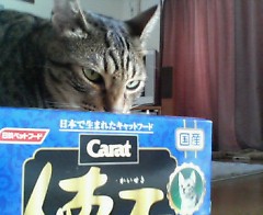 却下します