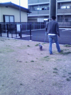 トコトコトコトコ