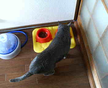 分かったの！？