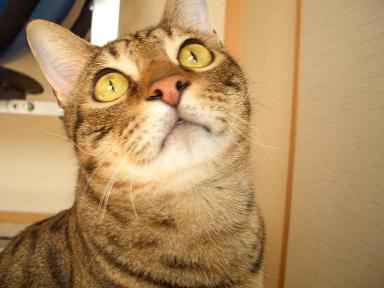 何か怖い・・・