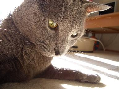 しょんぼり中。