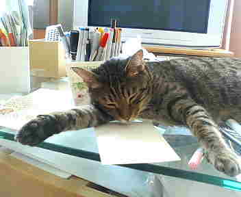 まったく・・・