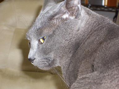 アッシには関係の無い事で・・・