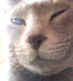 王子様のウィンク。