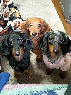 行ってくるね♪